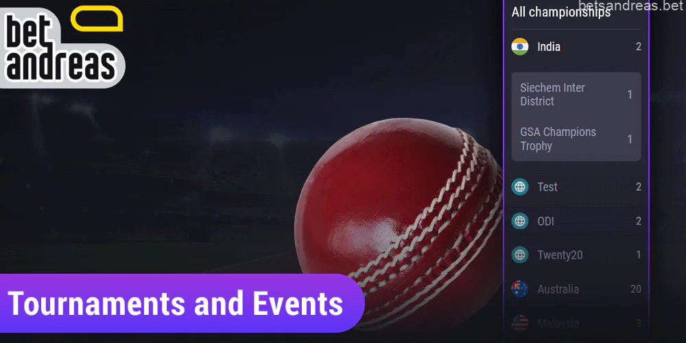 Cricket matches on Betandreas website