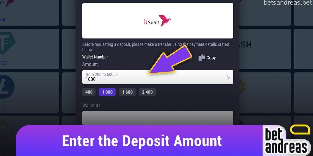 Enter the deposit amount, respecting the limits for each payment method on Betandreas