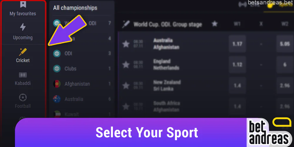 Select the sport on Betandreas that you want to bet on