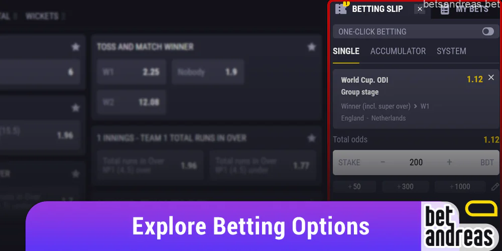 Explore the betting options on the Betandreas website